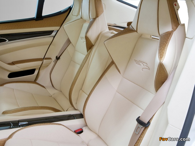 FAB Design Porsche Panamera (970) 2009 pictures (640 x 480)