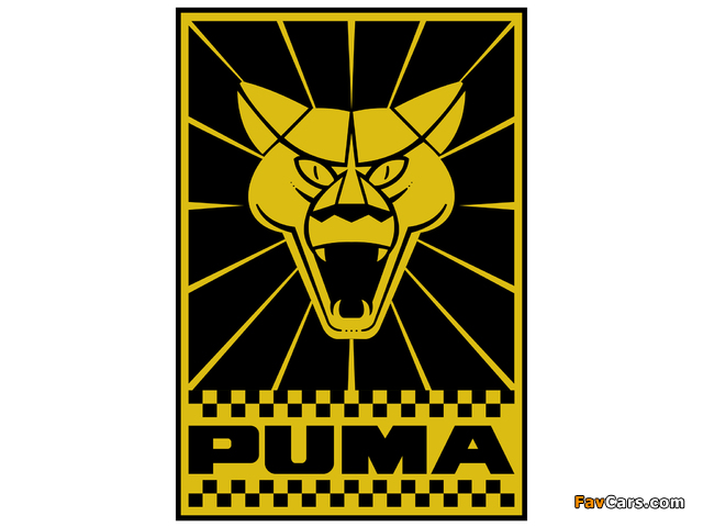 Pictures of Puma (640 x 480)