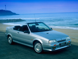 Pictures of Renault 19 Cabrio 1990–92