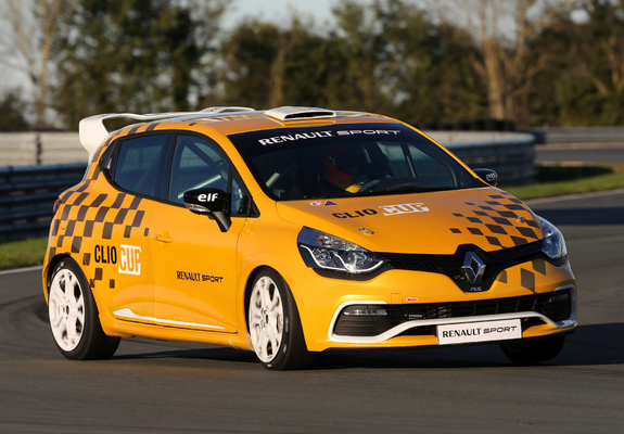 Images of Renault Clio R.S. Cup 2013
