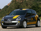 Pictures of Renault Clio R3 2010–12
