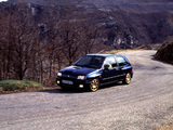 Renault Clio Williams 1993 photos