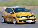 Renault Clio R.S. Cup 2013 pictures