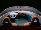 Renault Racoon Concept 1993 images