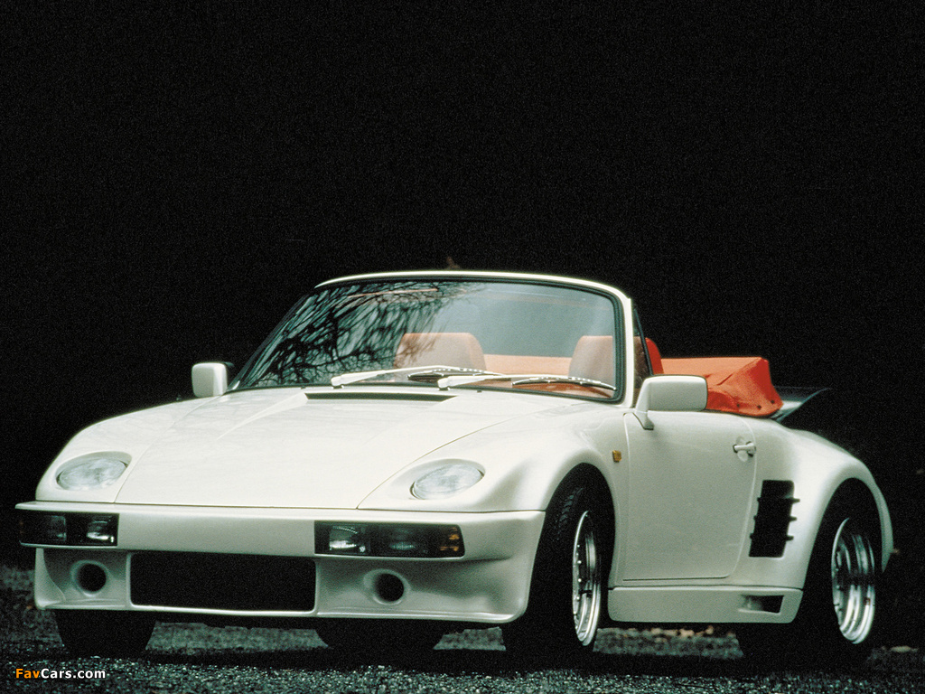 Images of Rinspeed Porsche R39 (930) 1989 (1024 x 768)