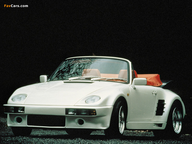Images of Rinspeed Porsche R39 (930) 1989 (800 x 600)