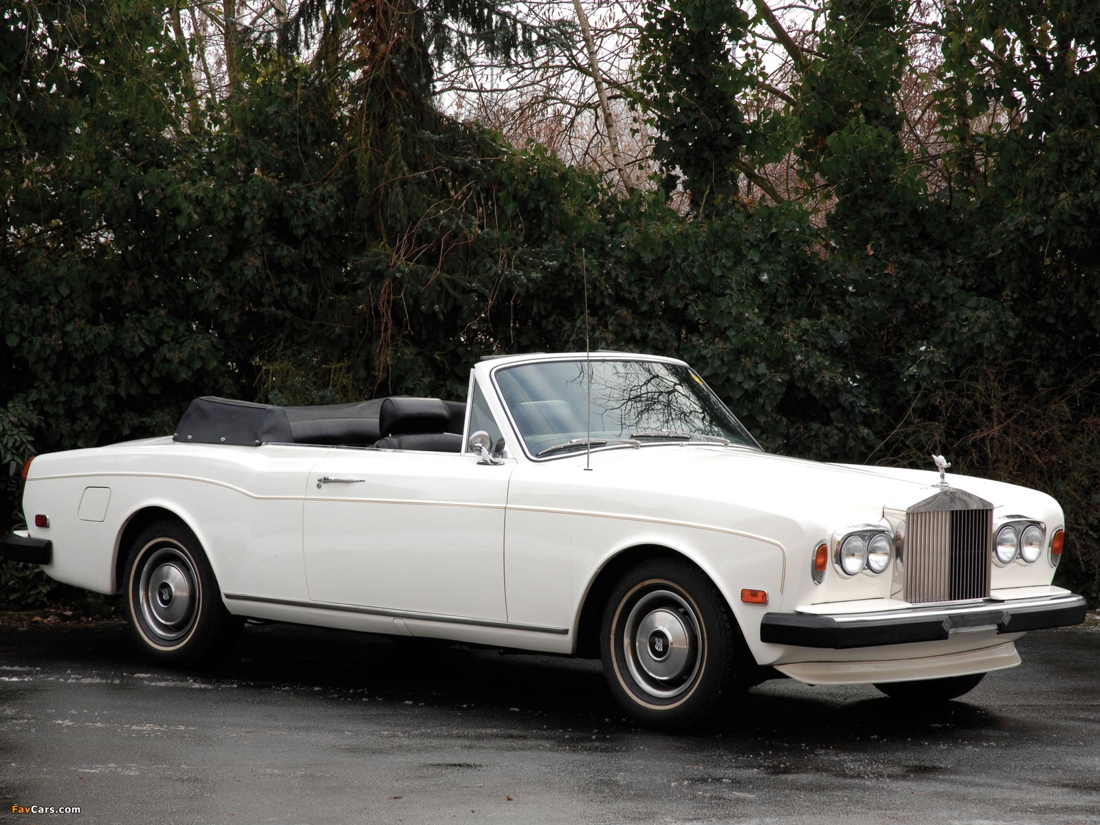 Rolls-Royce Corniche Convertible 1977–87 wallpapers (1600 x 1200)