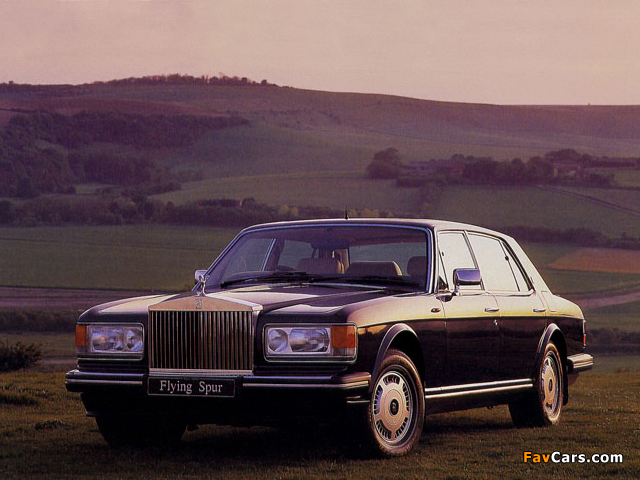 Rolls-Royce Flying Spur 1994–95 photos (640 x 480)