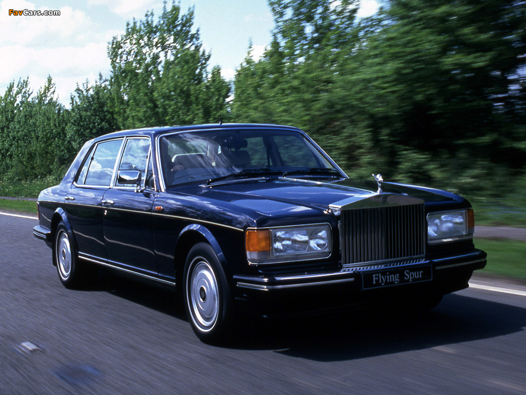 Rolls-Royce Flying Spur 1994–95 pictures (1024 x 768)
