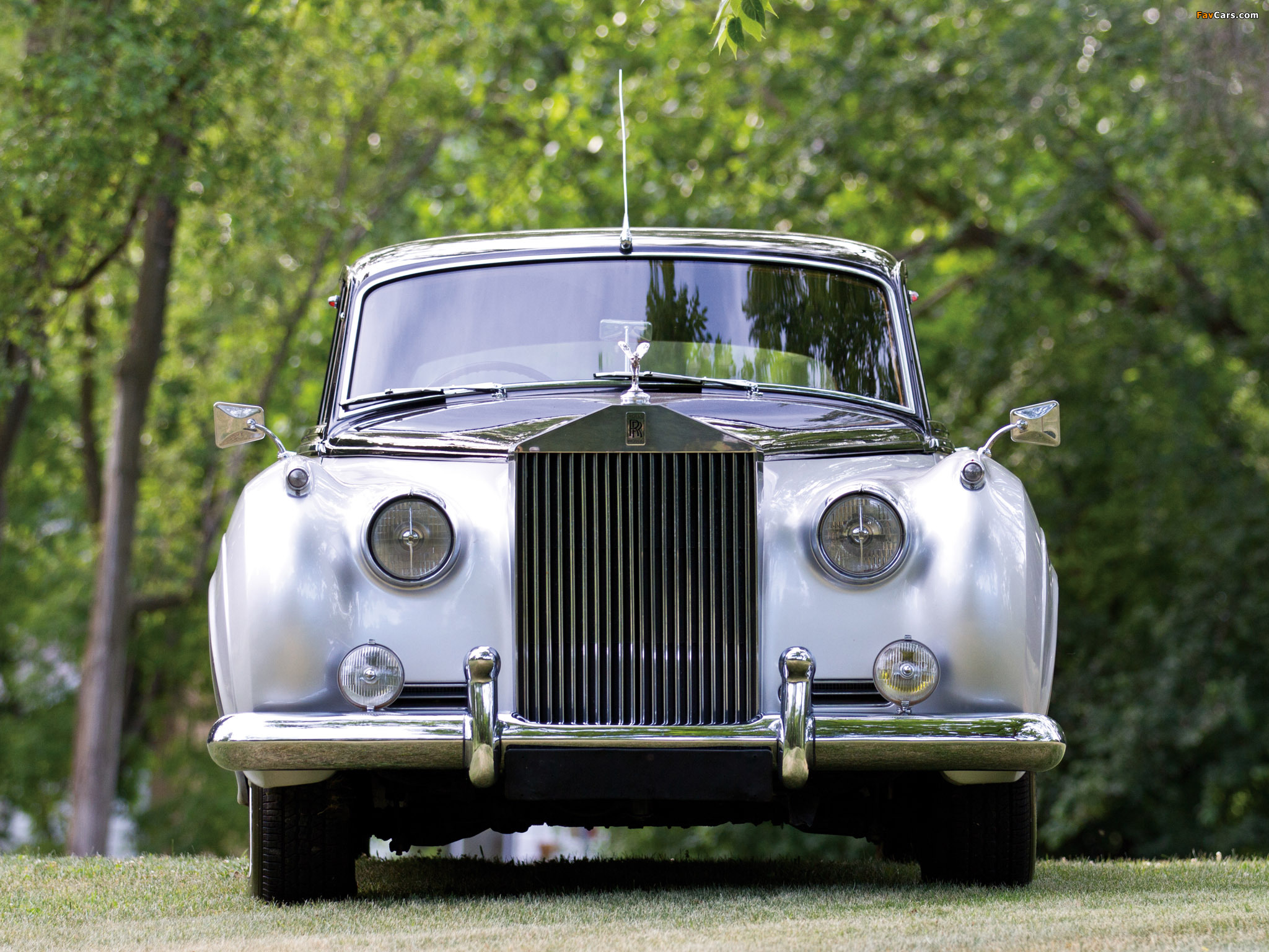 Rolls-Royce Silver Cloud (I) 1955–59 images (2048 x 1536)