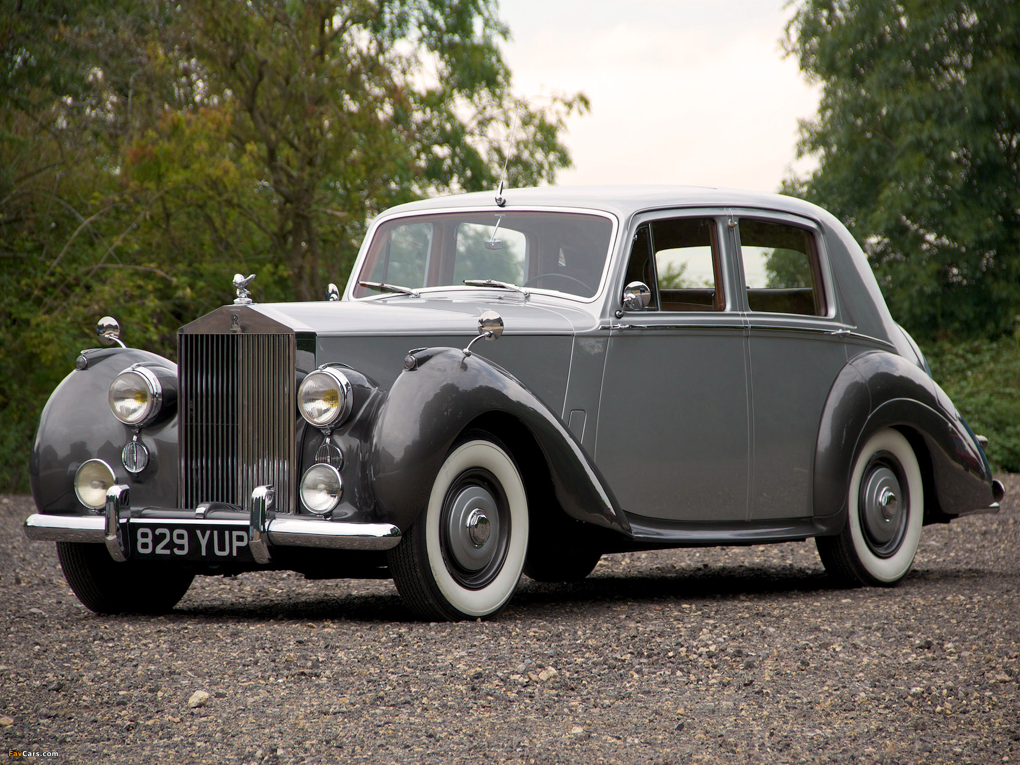 Images of Rolls-Royce Silver Dawn 1949–55 (2048 x 1536)