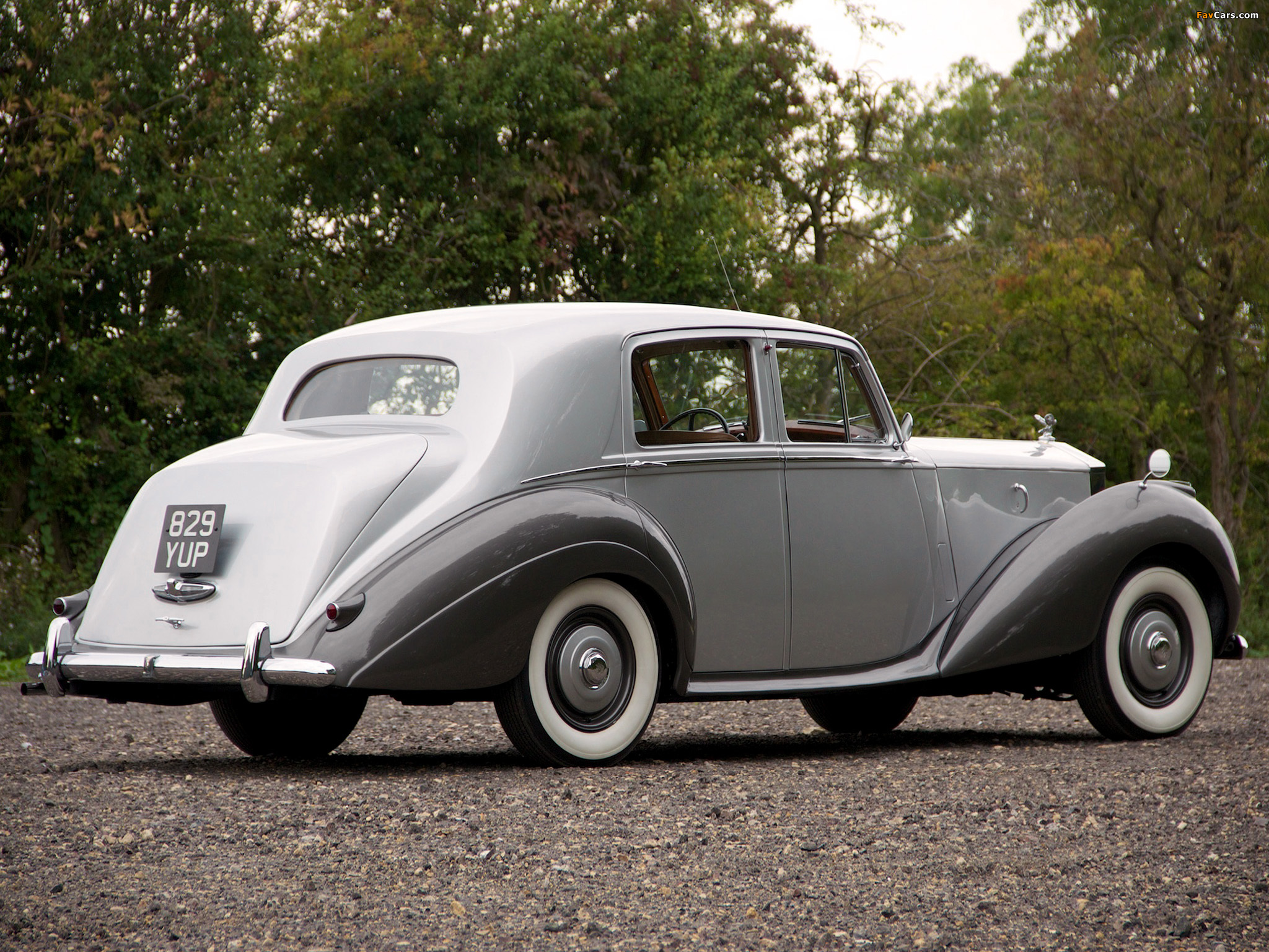 Images of Rolls-Royce Silver Dawn 1949–55 (2048 x 1536)