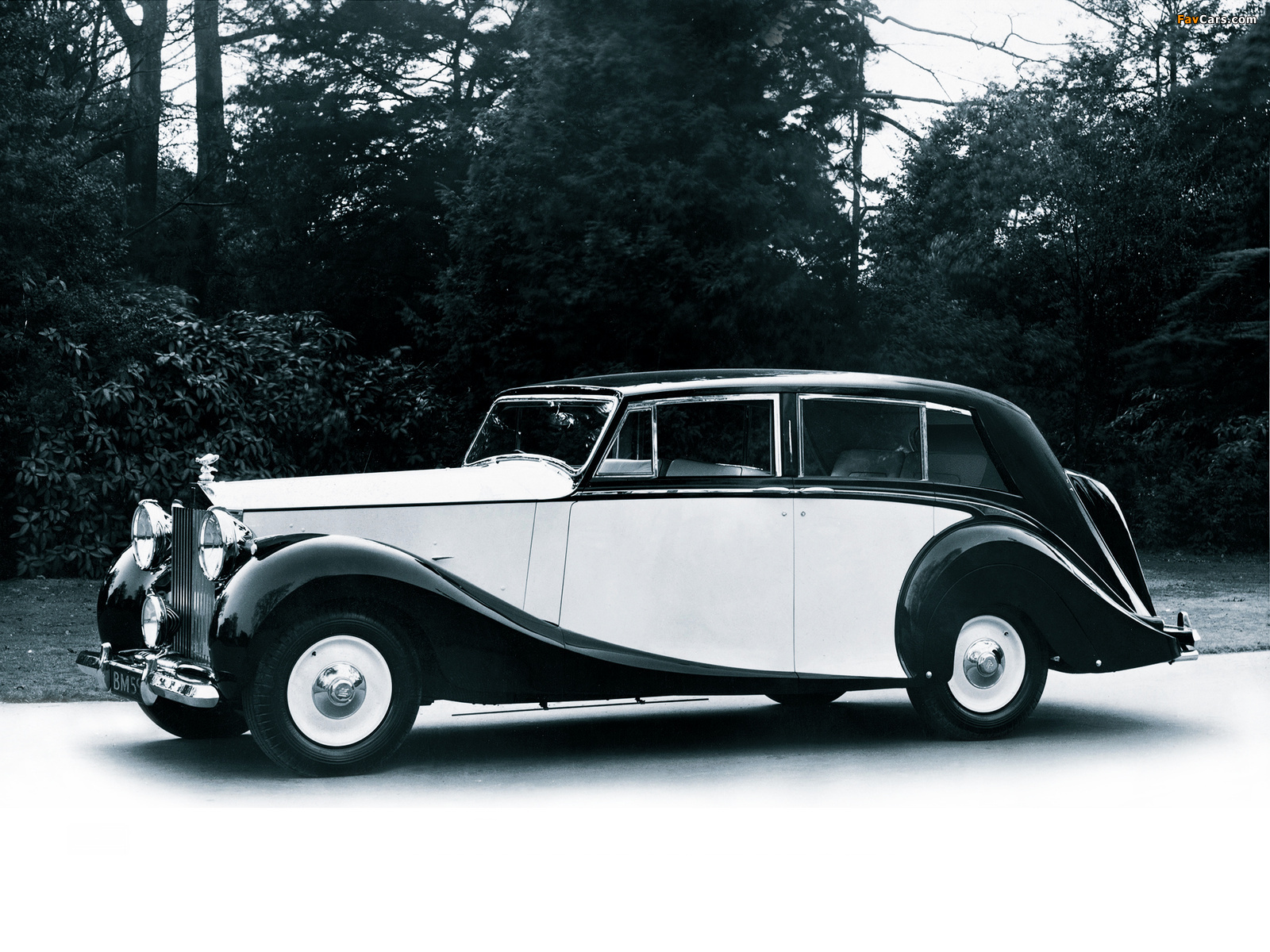 Images of Rolls-Royce Silver Wraith 1946–59 (1600 x 1200)