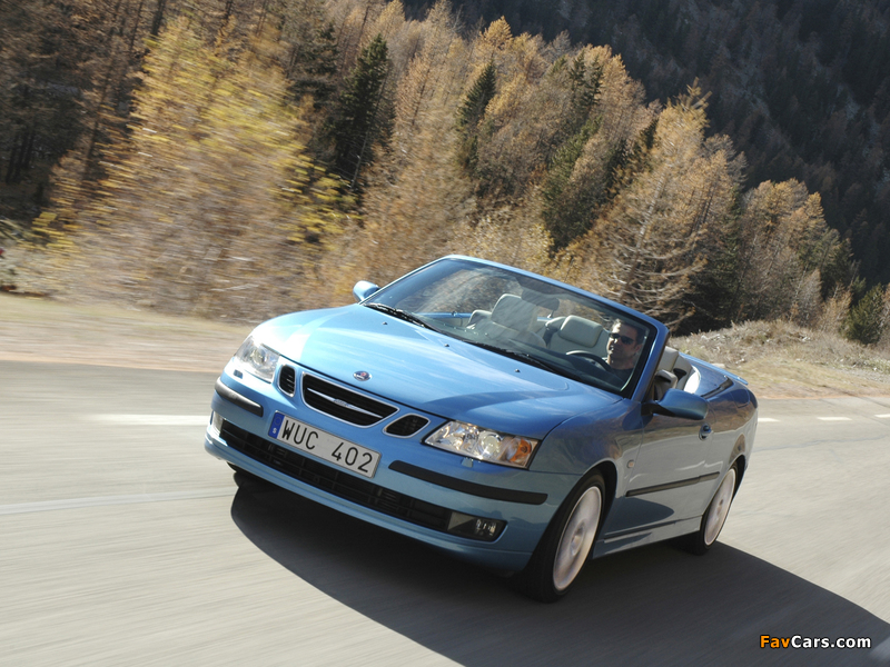 Images of Saab 9-3 Cabrio 20th Anniversary 2006 (800 x 600)