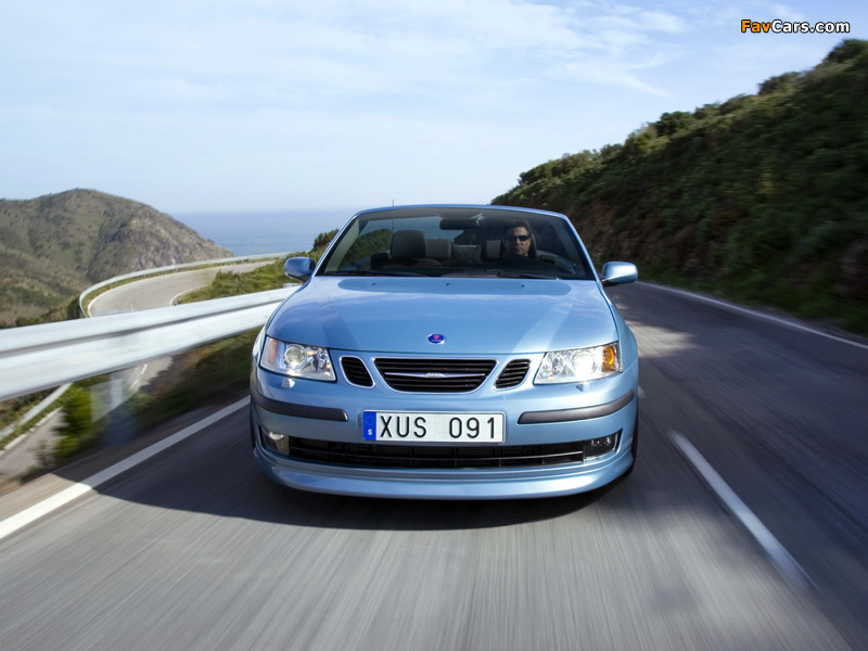 Images of Saab 9-3 Convertible Anniversary Edition 2007 (800 x 600)