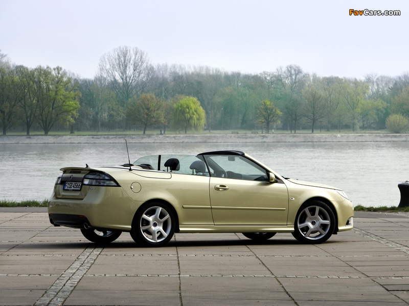Images of Saab 9-3 Convertible Special Edition 2009 (800 x 600)