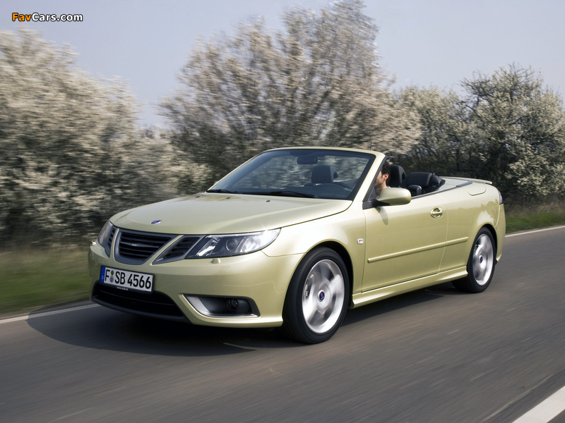 Images of Saab 9-3 Convertible Special Edition 2009 (800 x 600)