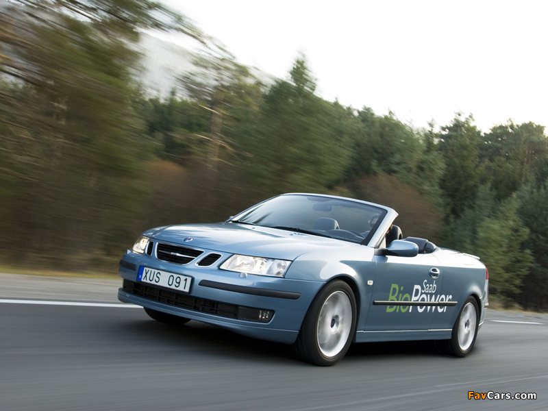 Pictures of Saab 9-3 BioPower Convertible 2006–07 (800 x 600)