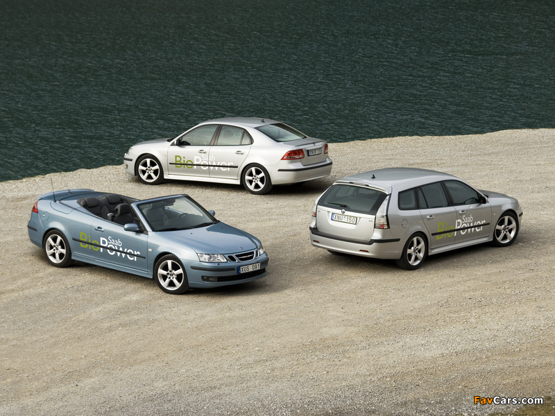 Pictures of Saab 9-3 (800 x 600)