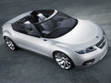 Saab 9-X Air Concept 2008 pictures