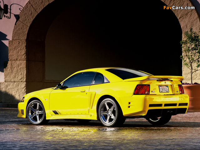 Saleen S281 SC Extrime Coupe 2002–04 images (640 x 480)