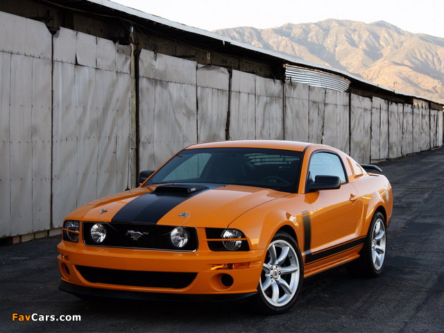 Images of Saleen S302 Parnelli Jones Limited Edition 2006–07 (640 x 480)