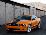 Images of Saleen S302 Parnelli Jones Limited Edition 2006–07