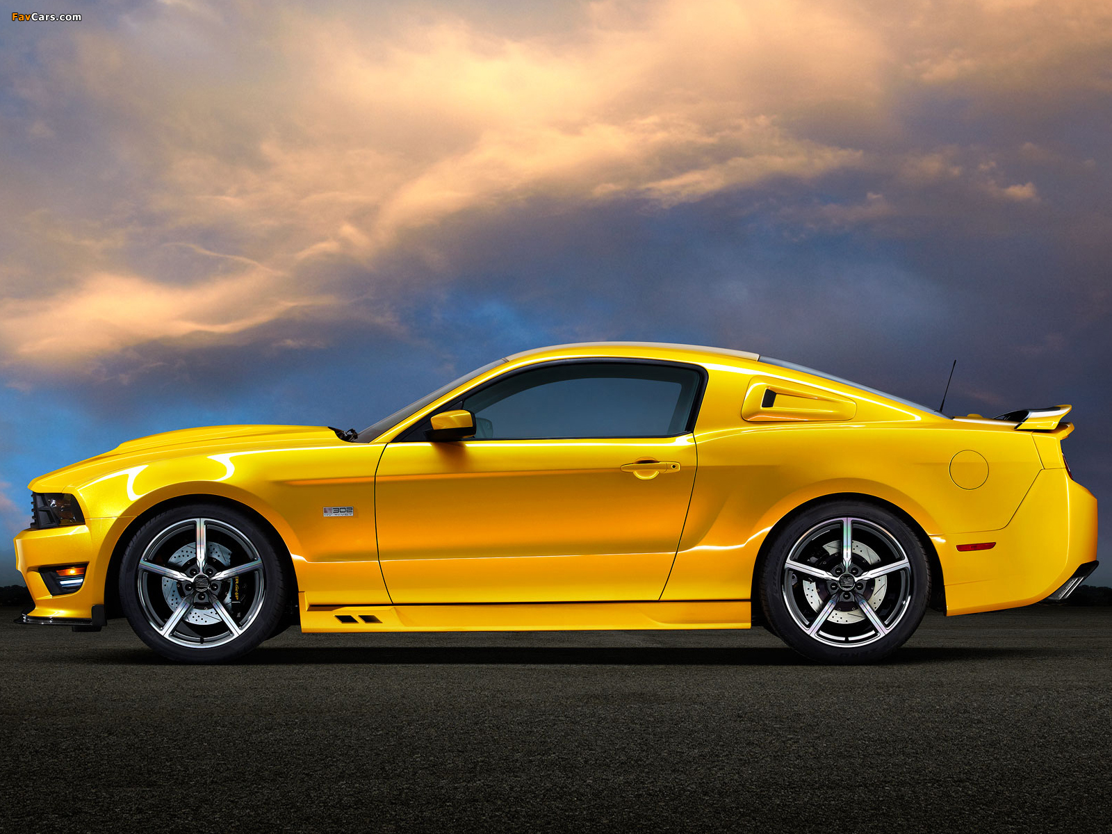 Pictures of Saleen S302 2011 (1600 x 1200)