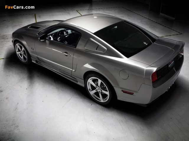Saleen S302 Extreme 2008–11 pictures (640 x 480)