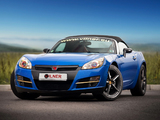 Vilner Saturn Sky 2011 images