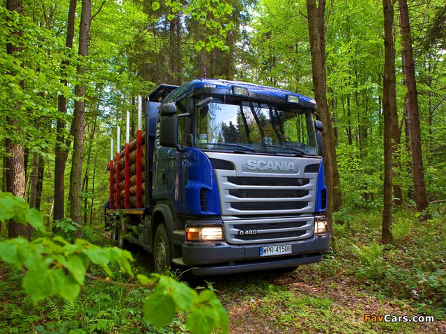 Photos of Scania G480 6x4 Timber Truck 2010–13 (640 x 480)