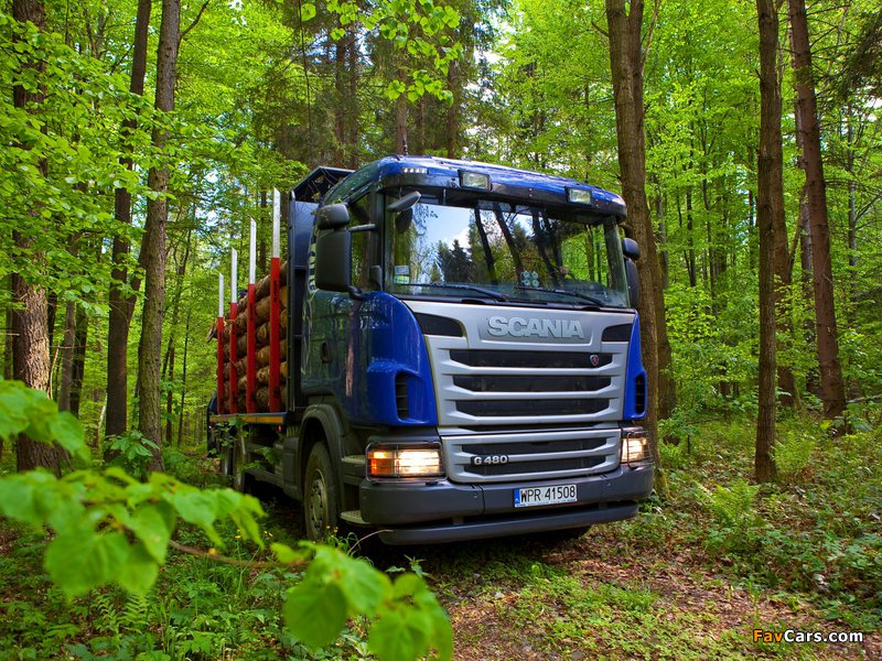 Photos of Scania G480 6x4 Timber Truck 2010–13 (800 x 600)