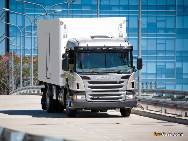 Images of Scania P250 4x2 2011 (640 x 480)