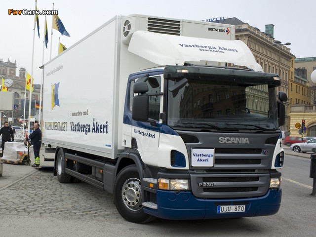 Pictures of Scania P230 4x2 2004–10 (640 x 480)