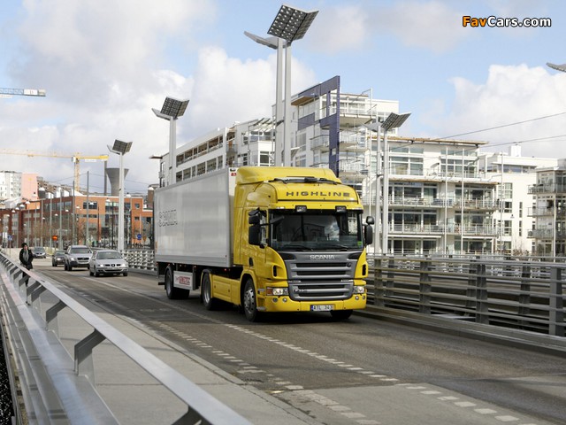 Scania P380 4x2 2004–10 pictures (640 x 480)