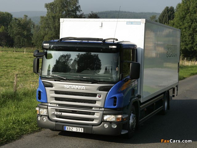 Scania P230 4x2 2004–10 wallpapers (640 x 480)
