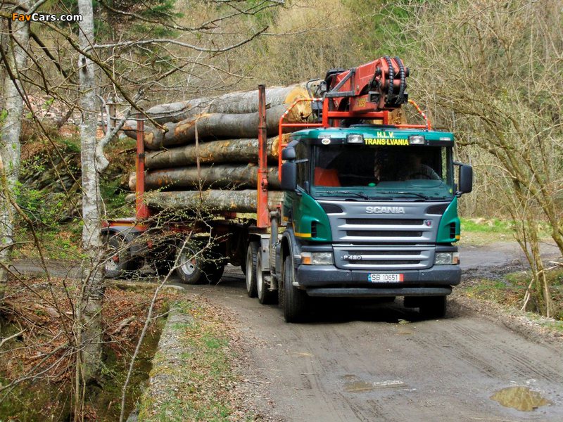 Scania P420 6x6 Timber Truck 2004–10 wallpapers (800 x 600)