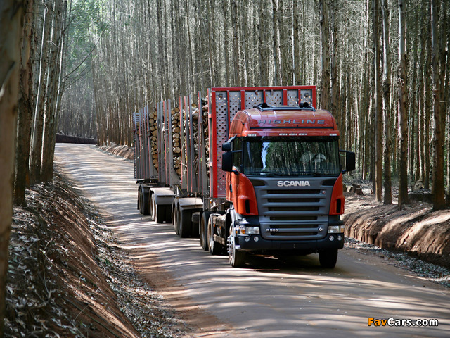 Photos of Scania R500 6x2 Highline Timber Truck 2004–09 (640 x 480)