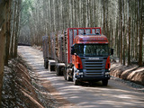 Photos of Scania R500 6x2 Highline Timber Truck 2004–09