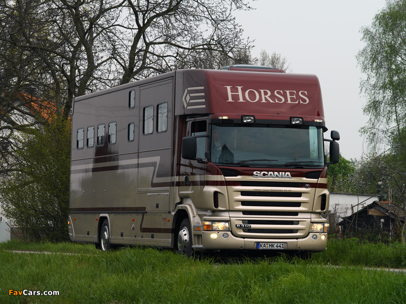 Pictures of Scania R310 4x2 Horsebox 2004–09 (800 x 600)