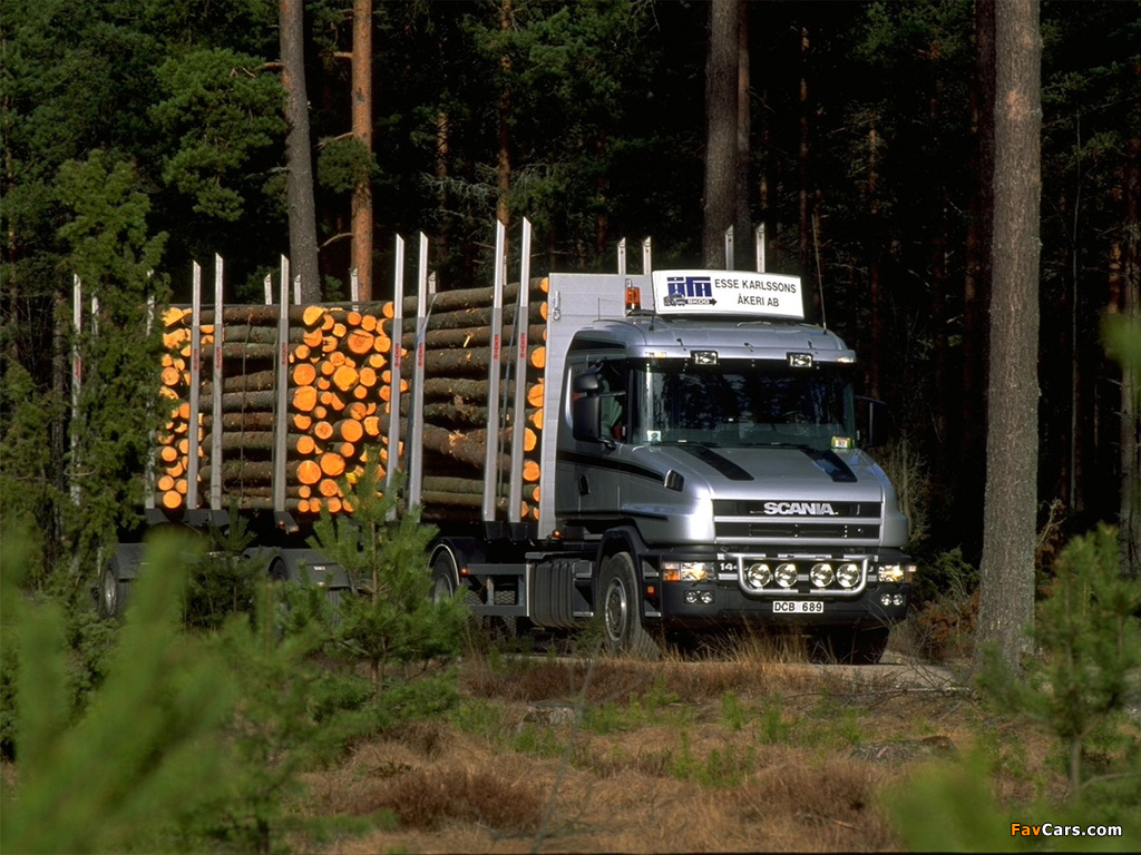 Pictures of Scania T144G 460 6x4 Timber Truck 1995–2004 (1024 x 768)