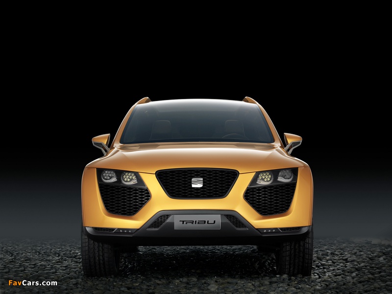 Seat Tribu Concept 2007 wallpapers (800 x 600)