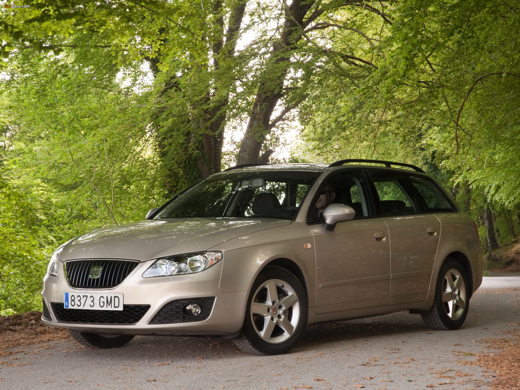 Pictures of Seat Exeo ST 2009–11 (2048 x 1536)