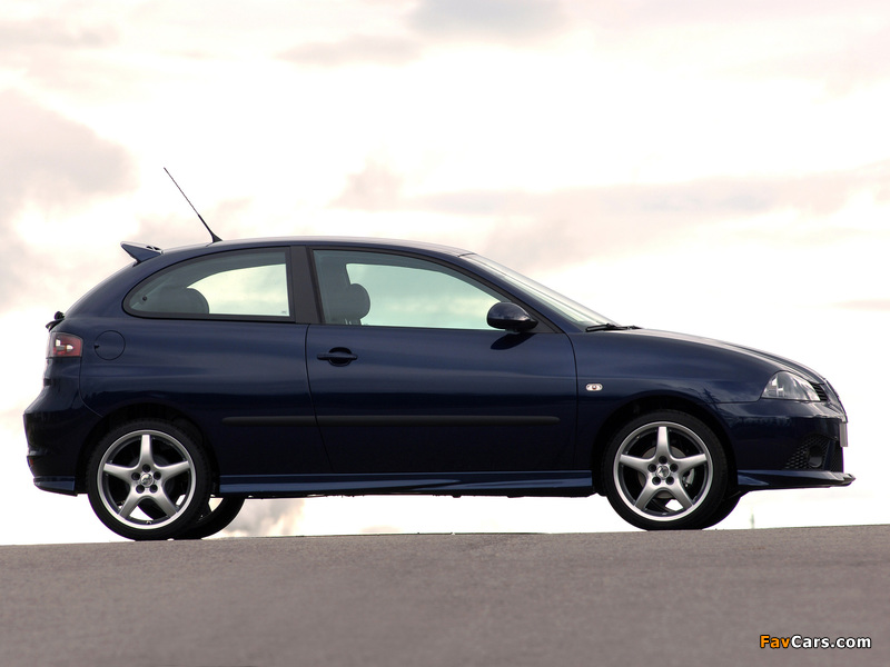 Images of ABT Seat Ibiza 2002–08 (800 x 600)