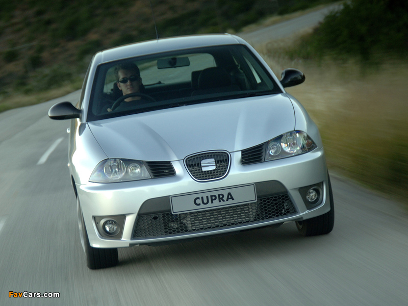 Images of Seat Ibiza Cupra ZA-spec 2006 (800 x 600)