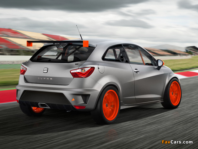Images of Seat Ibiza SC Trophy 2012 (640 x 480)