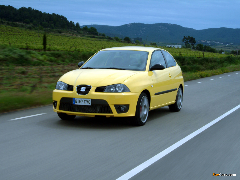 Photos of Seat Ibiza Cupra TDI 2004–08 (1024 x 768)