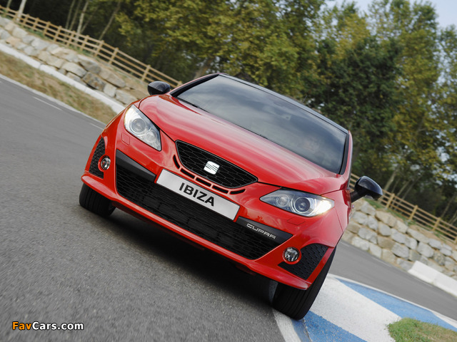 Photos of Seat Ibiza Cupra 2009–12 (640 x 480)