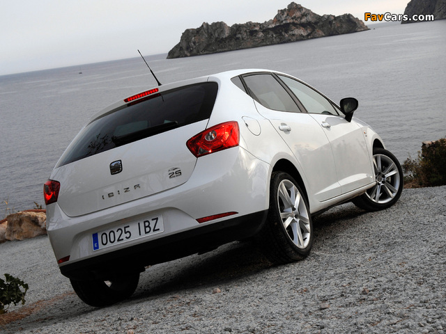 Photos of Seat Ibiza 25th Anniversary 2009 (640 x 480)