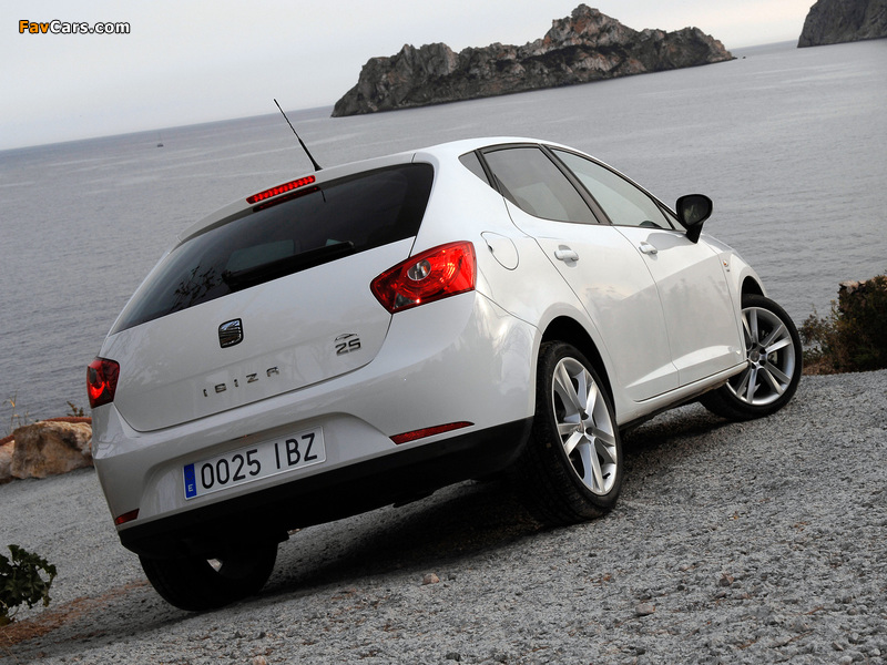 Photos of Seat Ibiza 25th Anniversary 2009 (800 x 600)